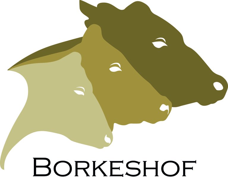 Logo: Borkeshof Familie Paßmann
